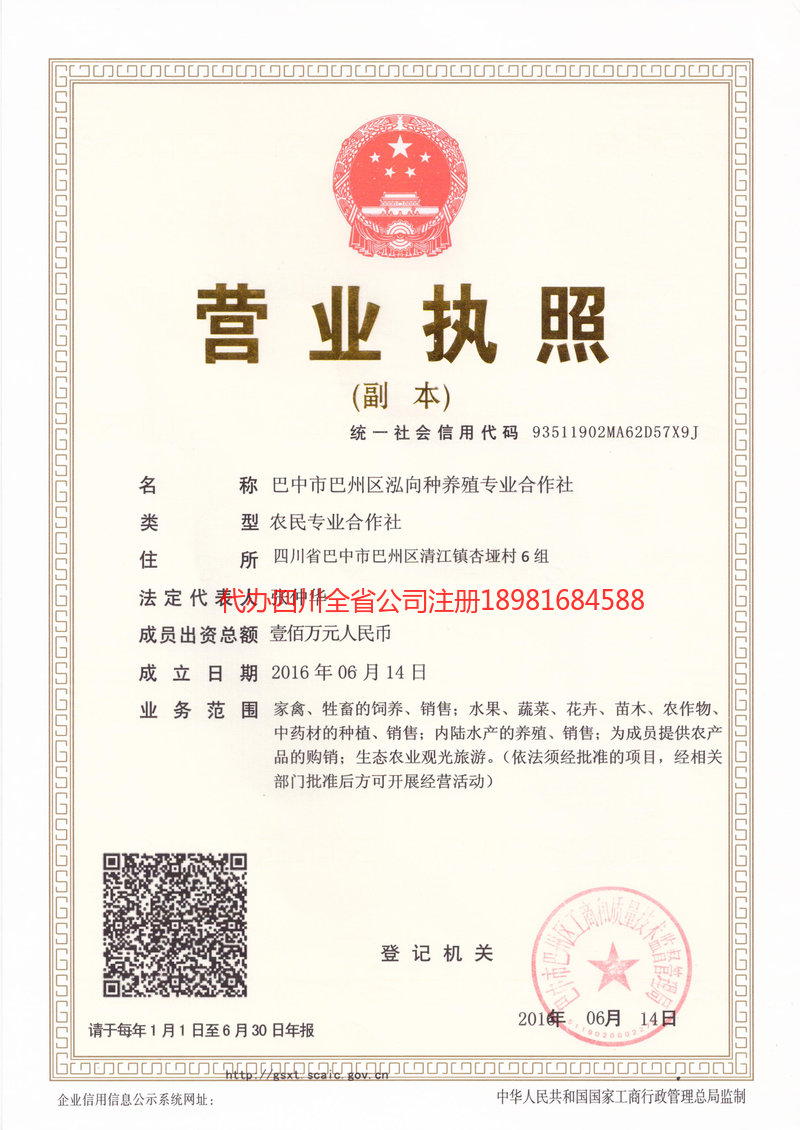 大石桥大石桥泓向种养殖专业合作社